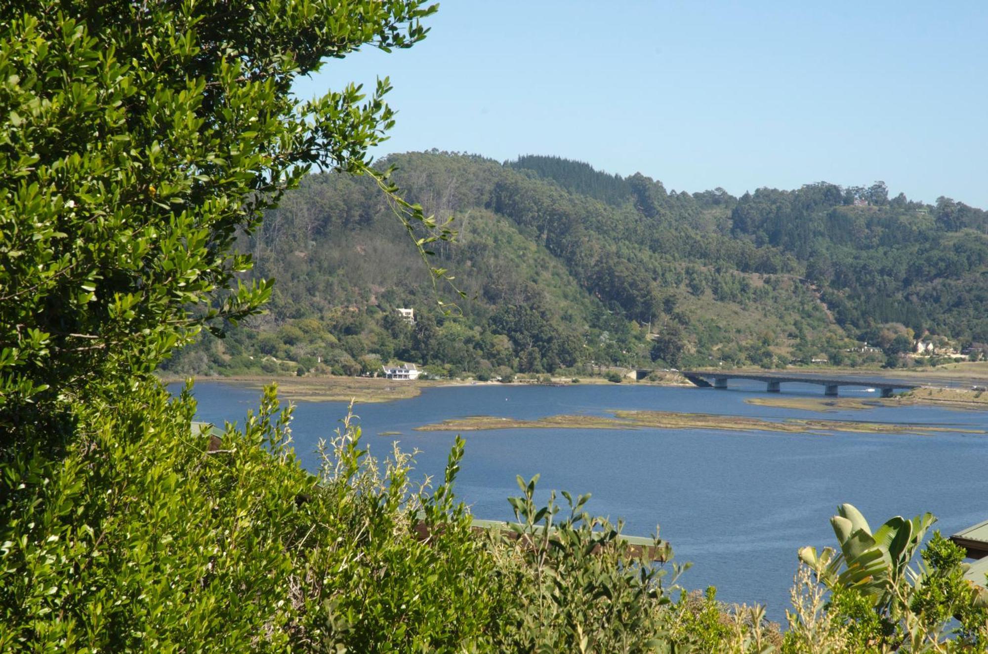 Elephant Hide Of Guest Knysna