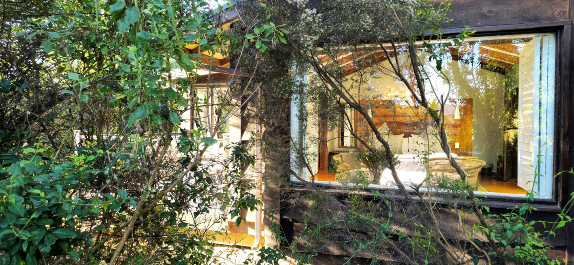 Elephant Hide Of Guest Lodge Knysna