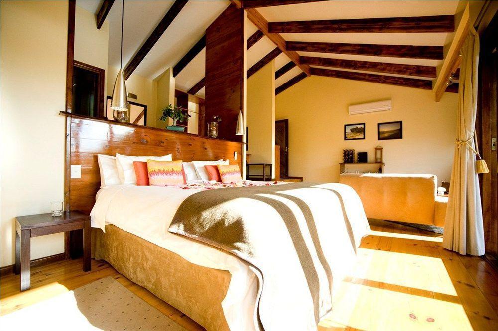 Elephant Hide Of Guest