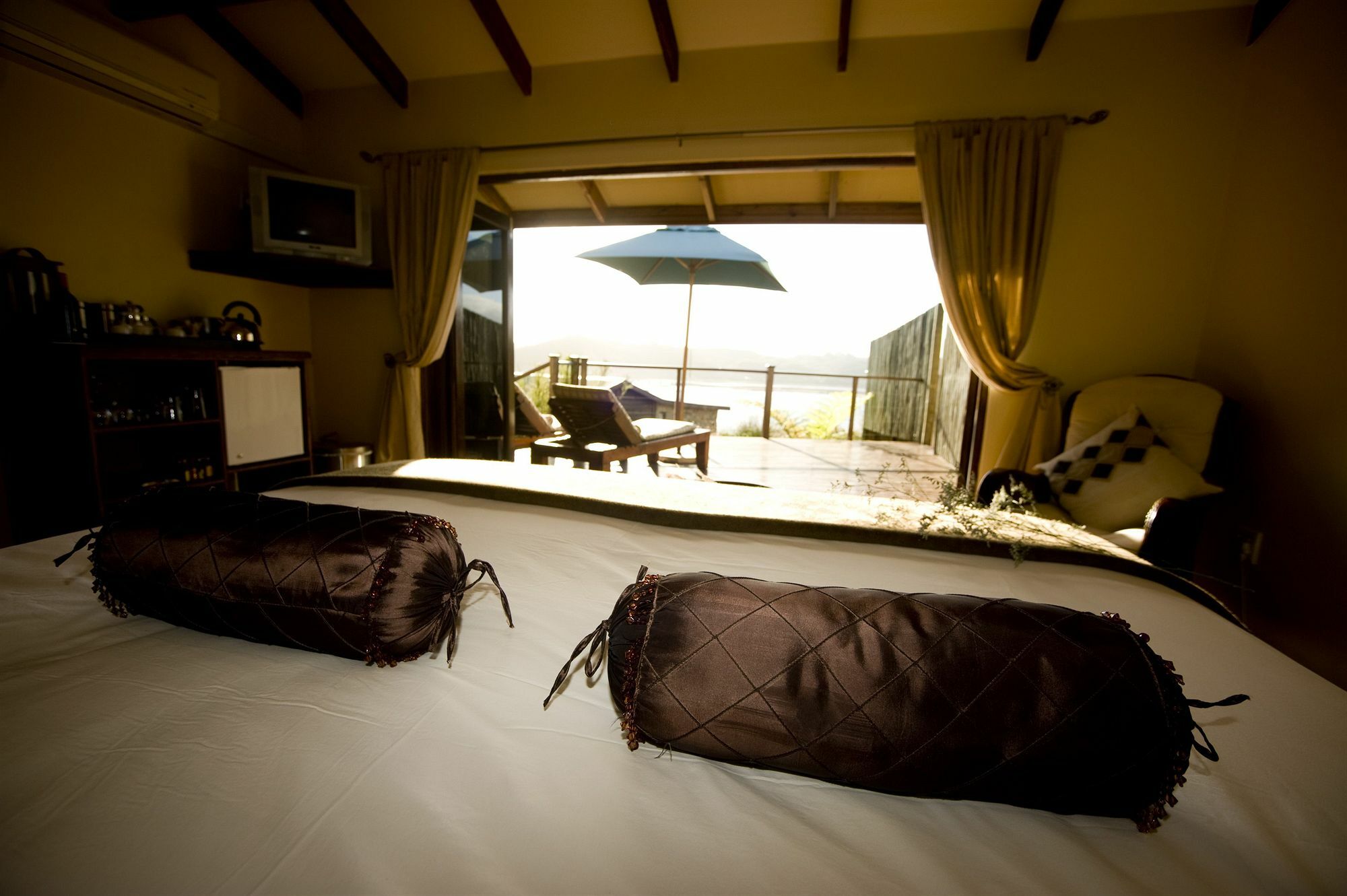 Elephant Hide Of Guest *