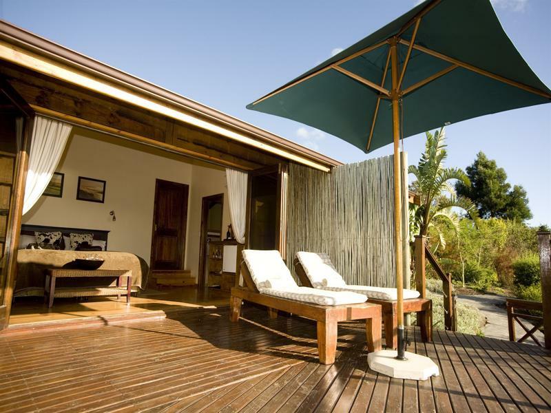 Elephant Hide Of Guest * Knysna