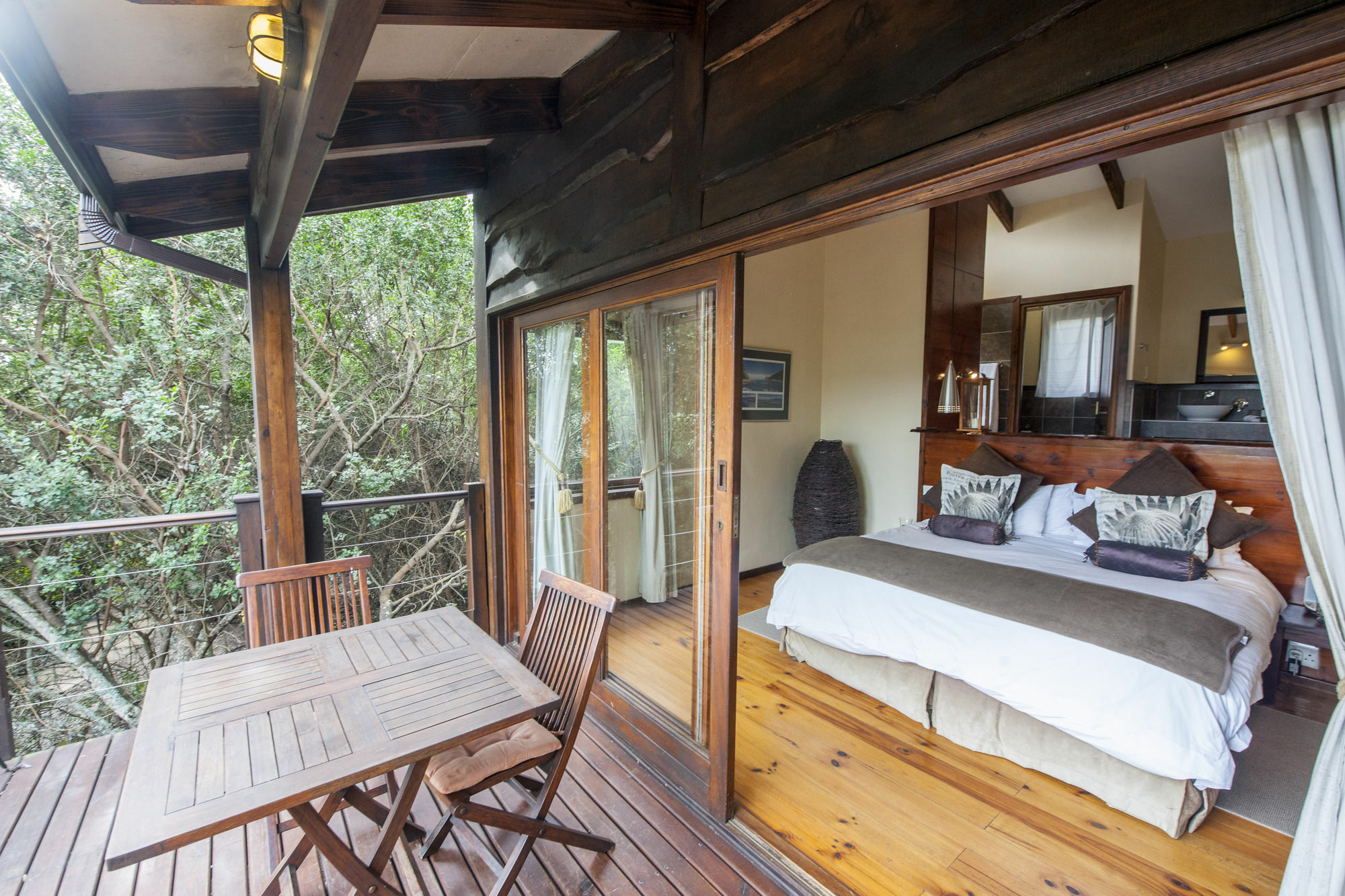 Elephant Hide Of Guest *